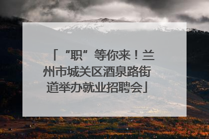 “职”等你来！兰州市城关区酒泉路街道举办就业招聘会