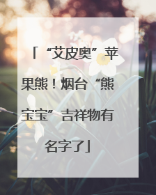 “艾皮奥”苹果熊！烟台“熊宝宝”吉祥物有名字了