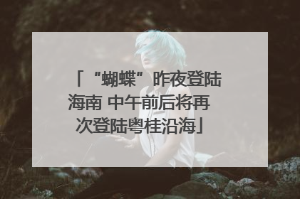 “蝴蝶”昨夜登陆海南 中午前后将再次登陆粤桂沿海