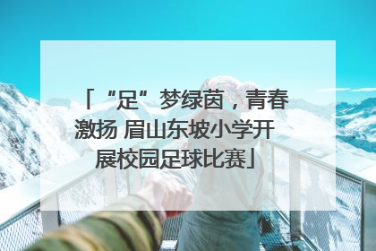 “足”梦绿茵，青春激扬 眉山东坡小学开展校园足球比赛