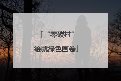 “零碳村” 绘就绿色画卷