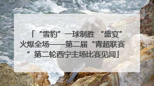 “雪豹”一球制胜 “盛宴”火爆全场——第二届“青超联赛”第二轮西宁主场比赛见闻
