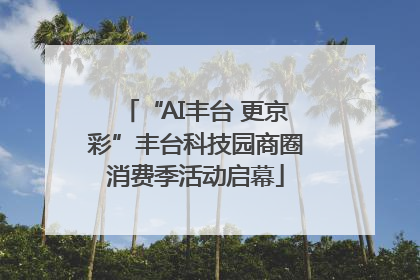 “AI丰台 更京彩”丰台科技园商圈消费季活动启幕