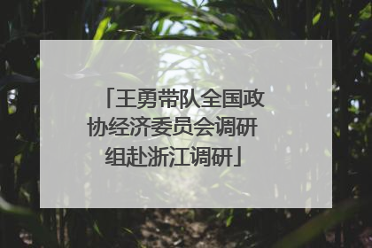 王勇带队全国政协经济委员会调研组赴浙江调研