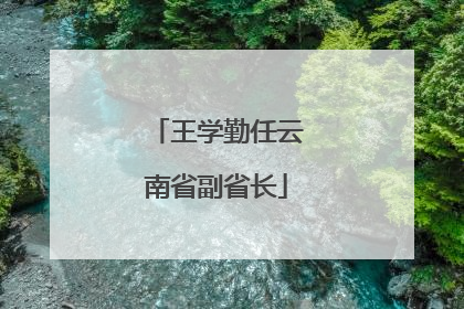 王学勤任云南省副省长