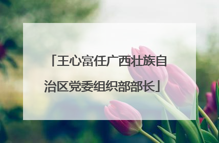 王心富任广西壮族自治区党委组织部部长