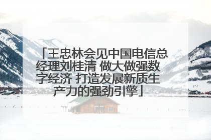 王忠林会见中国电信总经理刘桂清 做大做强数字经济 打造发展新质生产力的强劲引擎