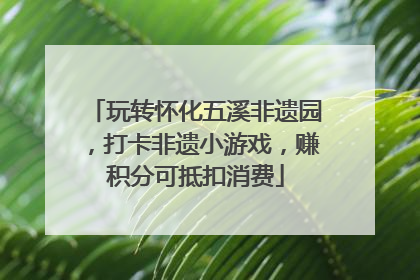 玩转怀化五溪非遗园，打卡非遗小游戏，赚积分可抵扣消费