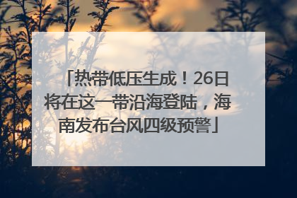 热带低压生成！26日将在这一带沿海登陆，海南发布台风四级预警