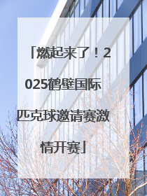燃起来了！2025鹤壁国际匹克球邀请赛激情开赛