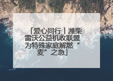 爱心同行丨潍柴雷沃公益机收联盟为特殊家庭解燃“麦”之急