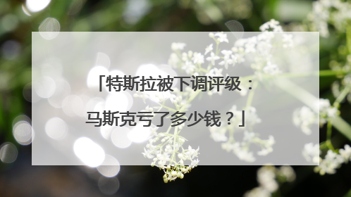 特斯拉被下调评级：马斯克亏了多少钱？
