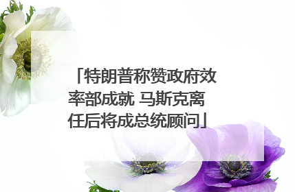 特朗普称赞政府效率部成就 马斯克离任后将成总统顾问