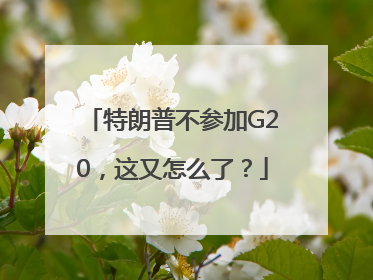 特朗普不参加G20，这又怎么了？
