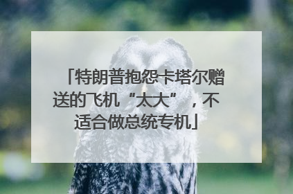 特朗普抱怨卡塔尔赠送的飞机“太大”，不适合做总统专机