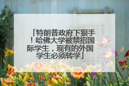 特朗普政府下狠手！哈佛大学被禁招国际学生，现有的外国学生必须转学
