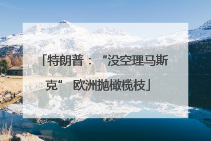 特朗普：“没空理马斯克” 欧洲抛橄榄枝