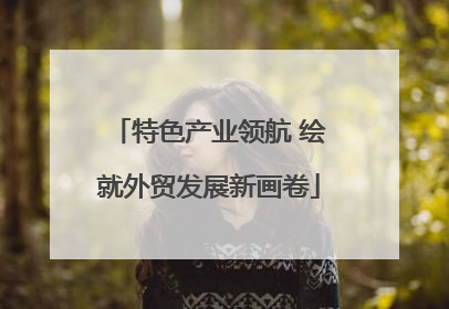 特色产业领航 绘就外贸发展新画卷