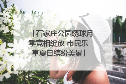 石家庄公园绣球月季竞相绽放 市民乐享夏日缤纷美景
