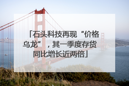 石头科技再现“价格乌龙”，其一季度存货同比增长近两倍