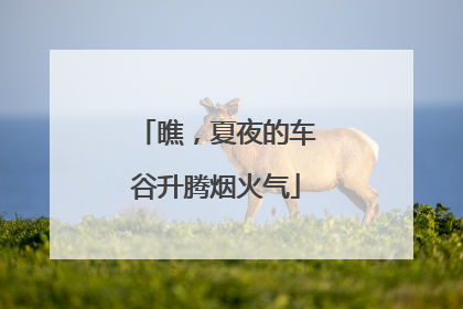 瞧，夏夜的车谷升腾烟火气