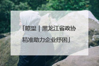 瞭望｜黑龙江省政协精准助力企业纾困