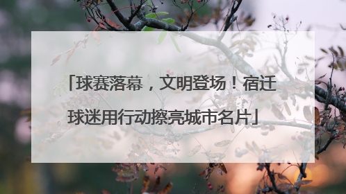球赛落幕，文明登场！宿迁球迷用行动擦亮城市名片