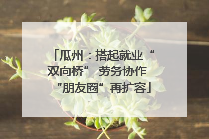 瓜州：搭起就业“双向桥” 劳务协作“朋友圈”再扩容