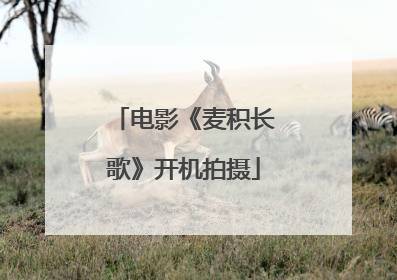 电影《麦积长歌》开机拍摄