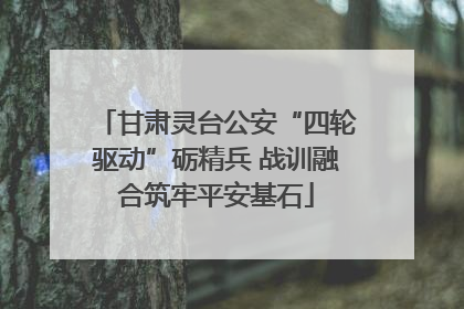 甘肃灵台公安“四轮驱动”砺精兵 战训融合筑牢平安基石