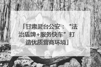 甘肃灵台公安：“法治盾牌+服务快车”打造优质营商环境