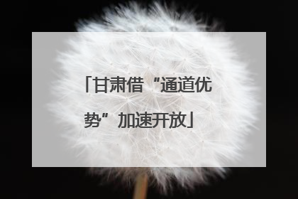 甘肃借“通道优势”加速开放