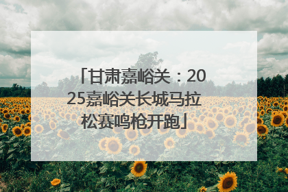 甘肃嘉峪关：2025嘉峪关长城马拉松赛鸣枪开跑