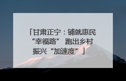 甘肃正宁：铺就惠民“幸福路” 跑出乡村振兴“加速度”