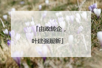 由政转企，叶建强履新