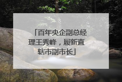 百年央企副总经理王秀峰，履新直辖市副市长