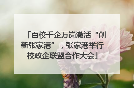 百校千企万岗激活“创新张家港”，张家港举行校政企联盟合作大会