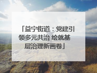 益宁街道：党建引领多元共治 绘就基层治理新画卷
