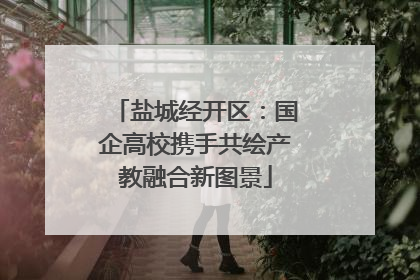 盐城经开区：国企高校携手共绘产教融合新图景