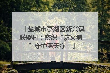 盐城市亭湖区新兴镇联盟村：密织“防火墙”守护蓝天净土