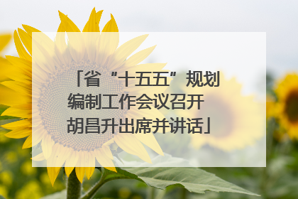 省“十五五”规划编制工作会议召开 胡昌升出席并讲话