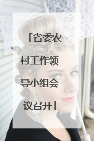 省委农村工作领导小组会议召开