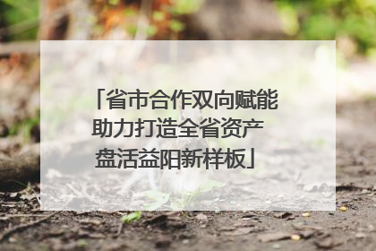 省市合作双向赋能 助力打造全省资产盘活益阳新样板