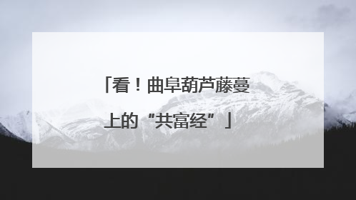 看！曲阜葫芦藤蔓上的“共富经”
