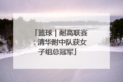 篮球｜耐高联赛：清华附中队获女子组总冠军
