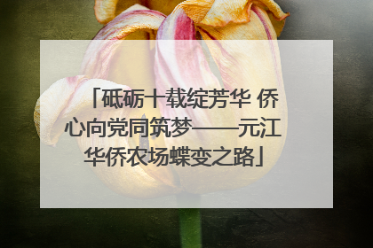 砥砺十载绽芳华 侨心向党同筑梦——元江华侨农场蝶变之路