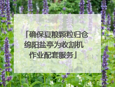 确保夏粮颗粒归仓 绵阳盐亭为收割机作业配套服务