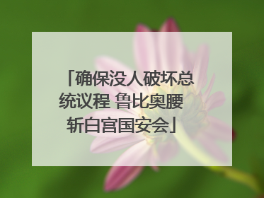 确保没人破坏总统议程 鲁比奥腰斩白宫国安会