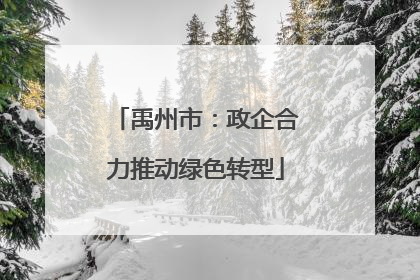 禹州市：政企合力推动绿色转型
