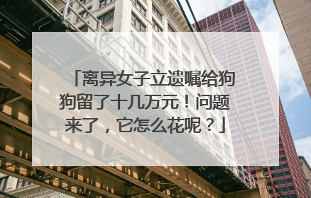 离异女子立遗嘱给狗狗留了十几万元！问题来了，它怎么花呢？